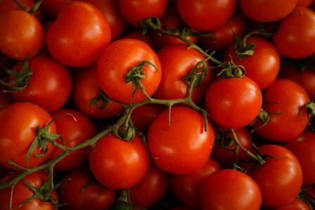 Przepis na domowy przecier pomidorowy z wyciskarki wolnoobrotowej. Czy to w ogóle możliwe? 